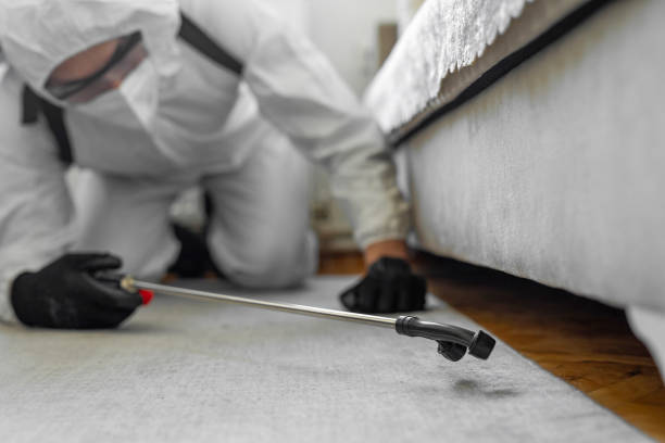 Professional Cockroach Control technician working in Olympia Heights, FL