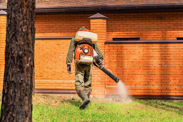 Trusted Cockroach Control service in Olympia Heights, FL - Nex Pest Control
